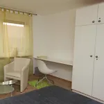 文斯伯格塔尔旅馆 勒文施泰因